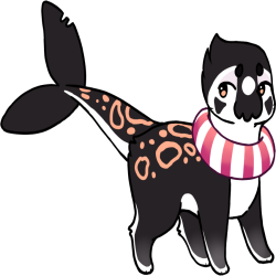 Thumbnail for NPC-002: Orca