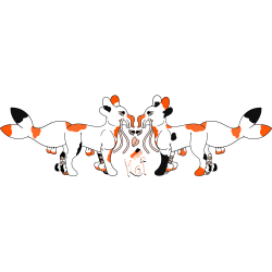 Thumbnail for SQB-GA-0168: Koi