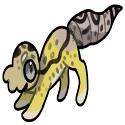Thumbnail for SQB-O-0052: Geck