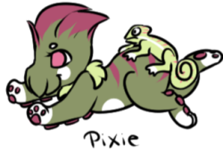 Thumbnail for SQB-GA-0236: Lizari