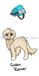 Thumbnail for SQB-GA-0335: Sadie